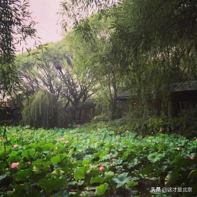 北京什么地方好玩，北京有什么好玩的地方（我私藏的北京16个小众又好玩的地方）