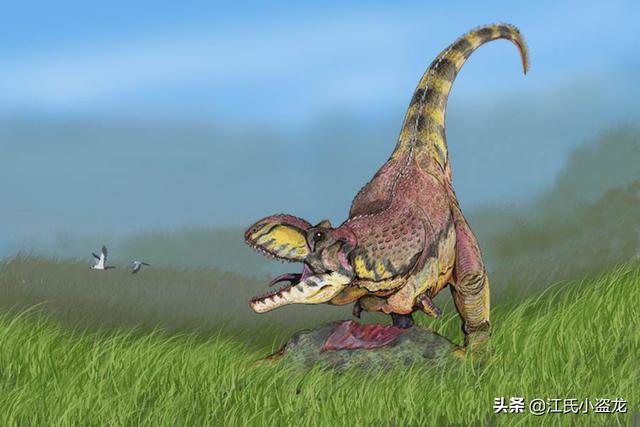 re网名的含义，Re微信昵称（2020古生物学家到底命名了多少种恐龙）