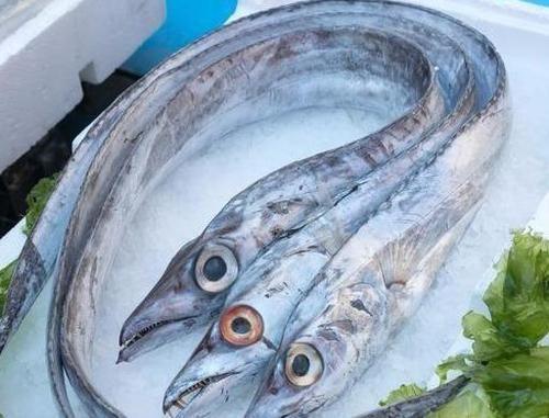 海鲜对人体有哪些好处，吃海鲜对人体有什么好处（带鱼皮越白越有营养）