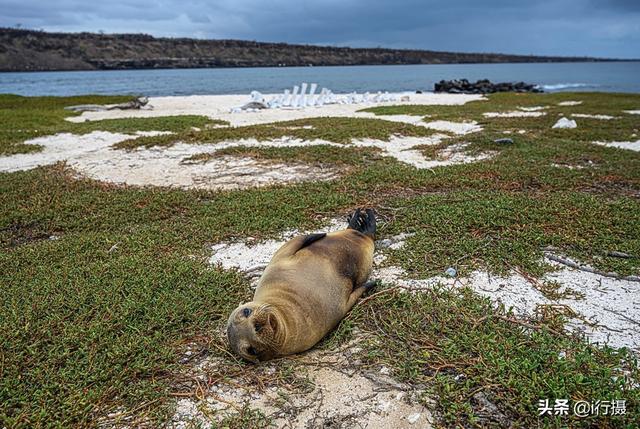 厄瓜多尔在哪里，厄尔多瓜具体在哪里（走进厄瓜多尔——世界上唯一以“赤道”命名的国家）