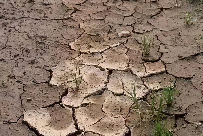 土壤板结如何快速改良，养花土壤板结浇点酸水就能解决（土壤板结对作物影响太大了）