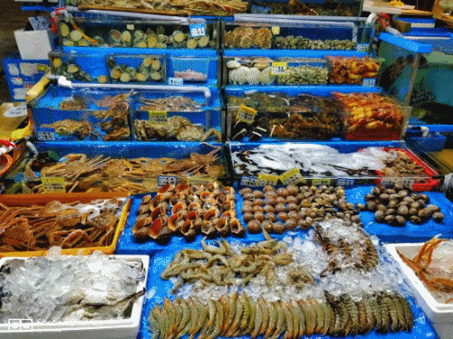 海葵汤怎么做好吃海葵汤的吃法，海葵鸡蛋汤的做法（海星、海葵、海肠……它们竟然都能吃）