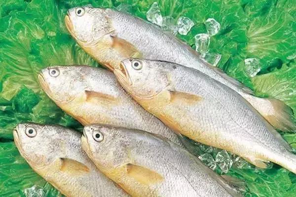 请问清炸小扒皮鱼的做法，炸小剥皮鱼的做法大全（今后再也不怕不认识海鲜了）