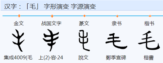 刚出生的小孩毛氏叫什么名字好 毛孩姓什么