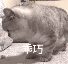 人食级别宠粮是智商税吗？有这2个认证的猫罐头，就可以闭眼入了
