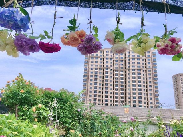 怎么做干花，干花的制作方法，必须要掌握（怎么做干花）