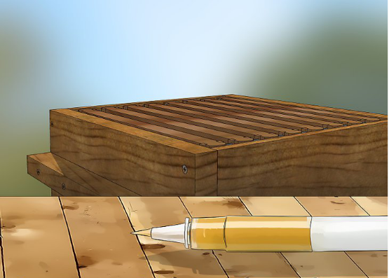 蜜蜂有什么特点，蜜蜂的特点是什么（图示4种巧妙小方法）