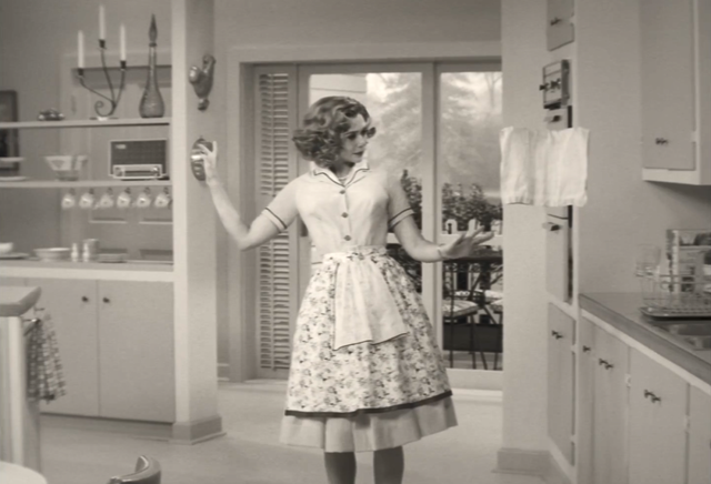 家有仙妻演员表，家有仙妻演员表 男主角（漫威“情景喜剧”《旺达幻视》有多少玄机）