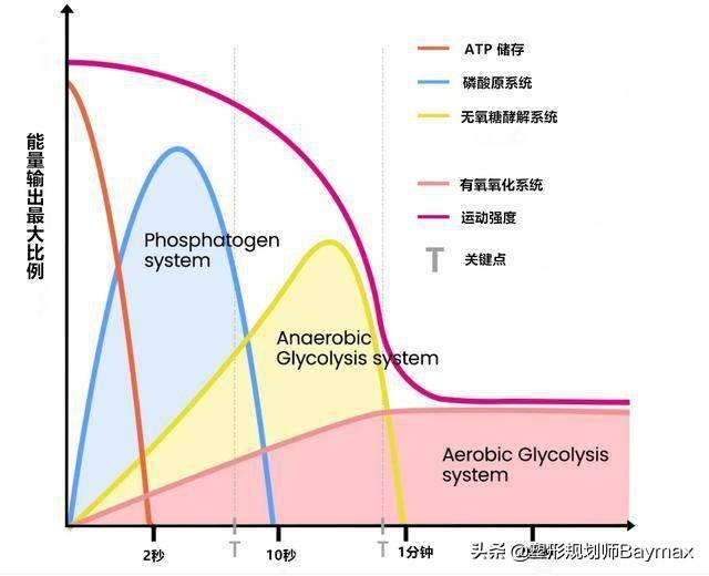 atp是什么，atp是什么比赛（这3种类型的代谢训练可以帮到你）