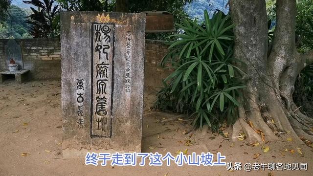 杨贵妃是哪里人，杨贵妃是哪里人,今为哪个省（山西陕西四川河南表示不服）