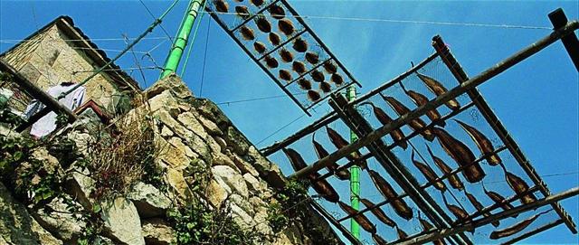 红葱头油盐水蒸金鳞鱼怎么做，全国人民就非吃饺子不可吗