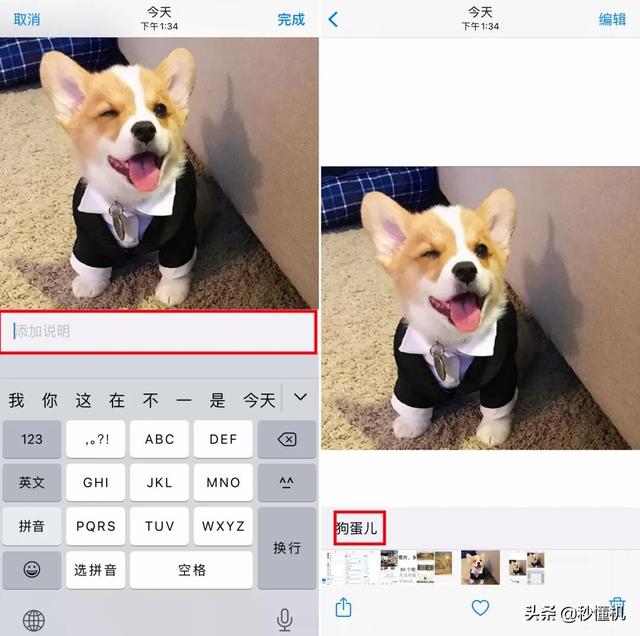 苹果相册隐藏从哪找，苹果怎么找到隐藏相册（相册隐藏的小功能，来看看）