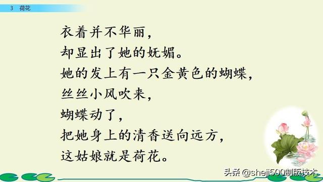 莲蓬的蓬是不是读轻声，莲蓬的蓬为什么读轻声（部编版语文三年级下册第3课《荷花》图文讲解）