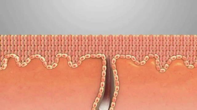 什么是化妆水，什么牌子的化妆水好用（只有搞清楚这几条）