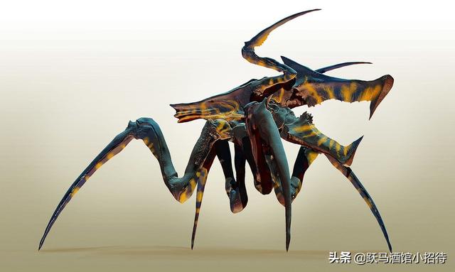 盘点经典科幻片《星河战队》中的阿拉奇尼斯虫族种类