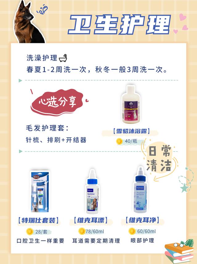 德国牧羊犬好养吗，德国牧羊犬好养吗怎么养（德牧经济喂养攻略分享）