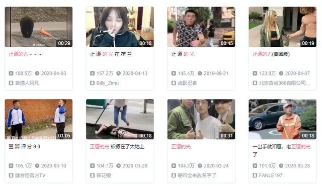 树枝666是什么梗，小黑子树枝666是什么梗（是一场B站网友的群体狂欢）