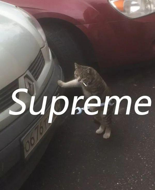 supreme是什么意思，汽车supreme是什么意思（万物皆可Supreme）