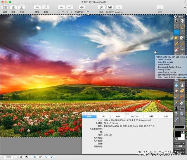 livp是什么格式文件（Mac图像快速浏览编辑工具----GraphicConverter）