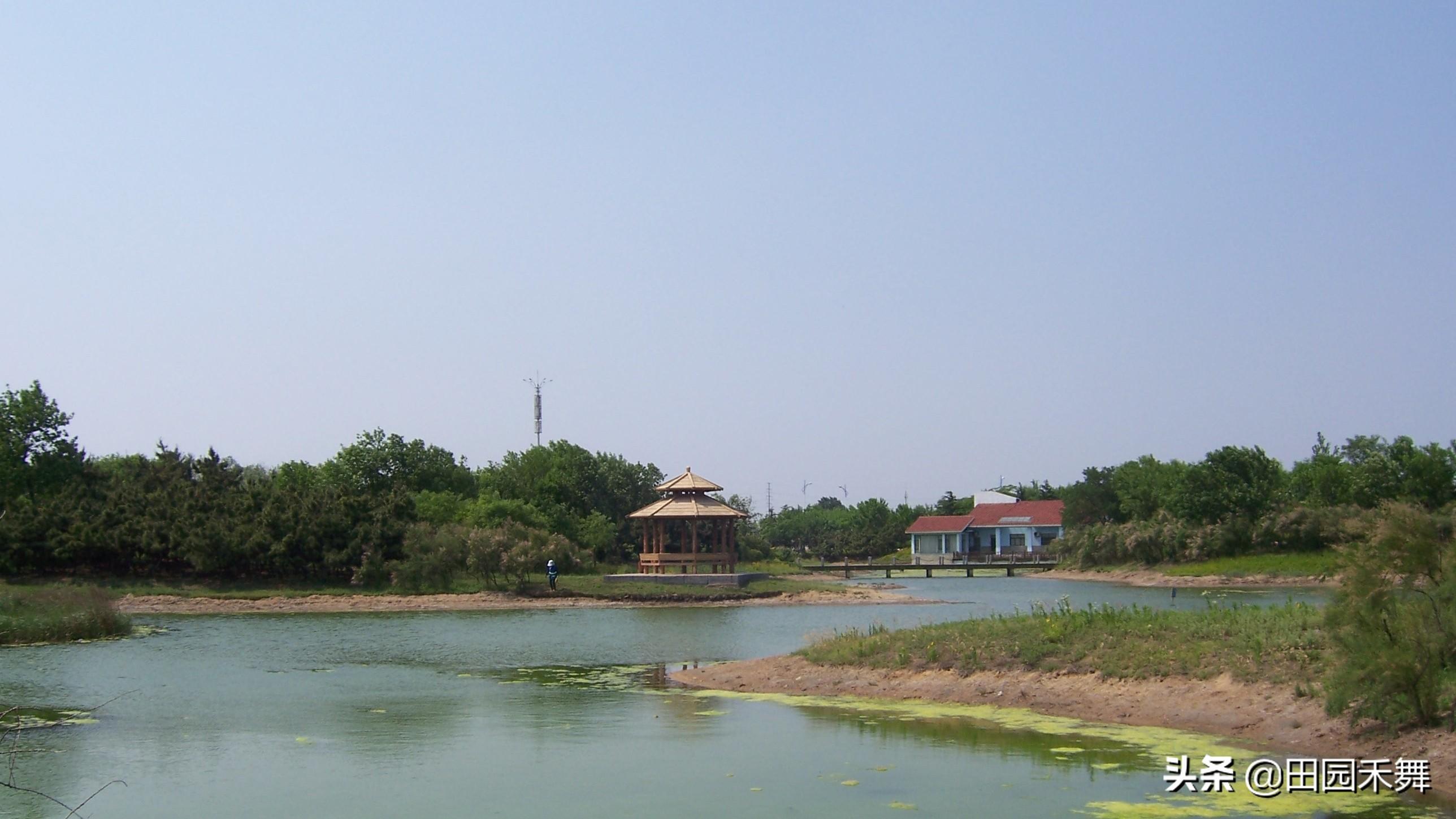日照岚山区(日照岚山适合居住吗)