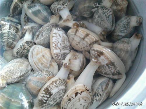 花甲怎么洗，花甲怎么洗的干净（老渔民：盐水中加点这个）