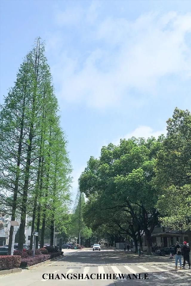 长沙铁道学院地址，长沙铁道学院照片（铁道学院，永不永不说再见！）