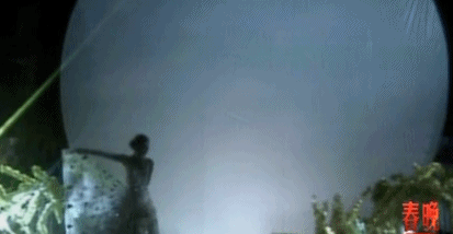 杨丽萍的饮食食谱，杨丽萍减肥食谱（61岁杨丽萍新舞又美爆热搜）