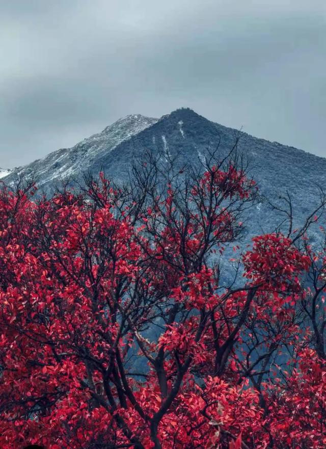 上关花下关风苍山雪洱海月是什么意思，上关风下关花苍山雪洱海月下一句（即“下关风、上关花、苍山雪、洱海月”）