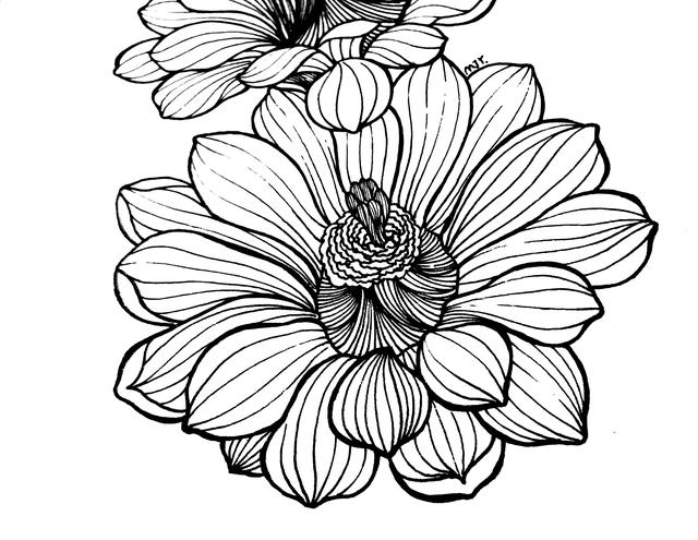 花瓣的简笔画法，花瓣简笔画图片大全（零基础也可以画的很好看）