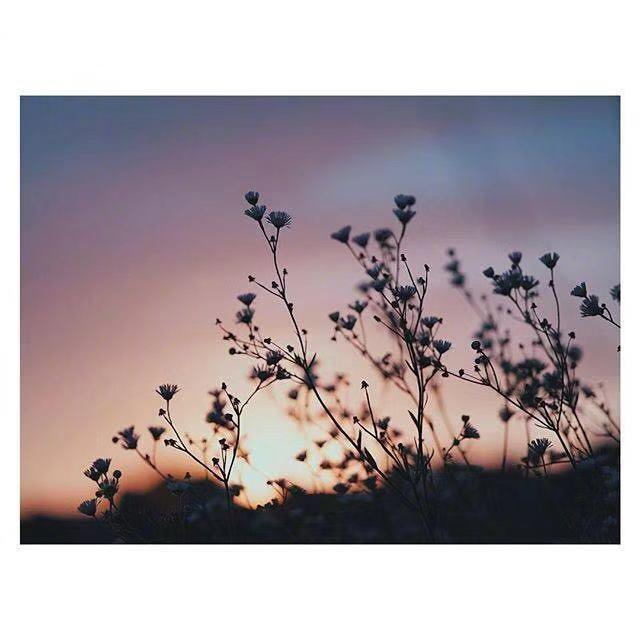 女生霸气高冷句子精选36句，高冷霸气的女生语录