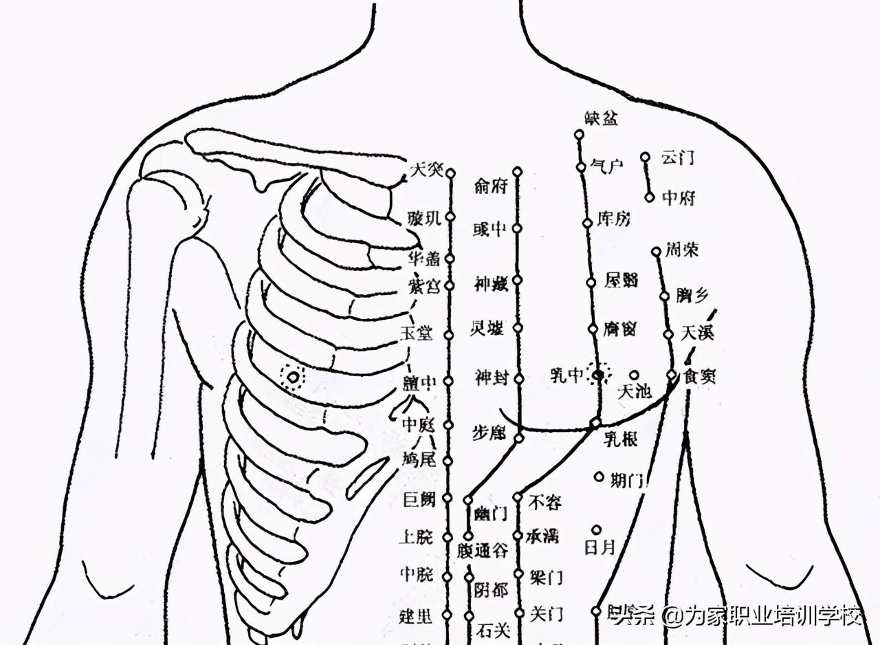 催乳师/月嫂在按压穴位时,不仅在打通乳房经脉,也促进乳房的气血,淋巴