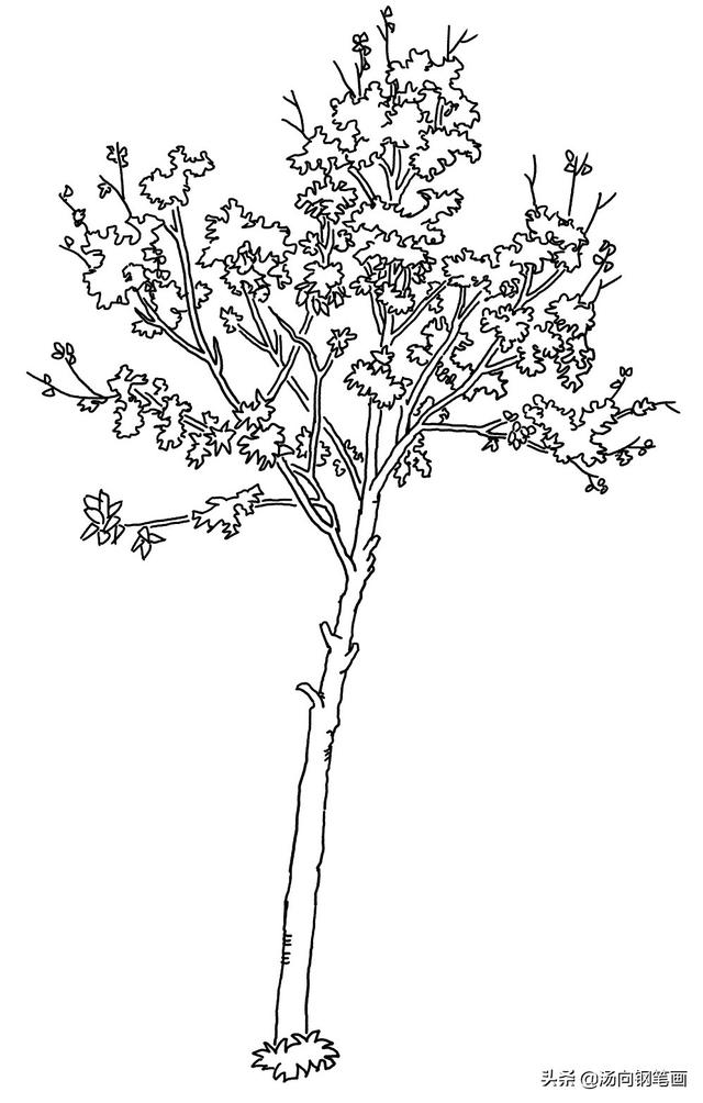 池塘怎么画简单又好看，池塘怎么画简笔画（钢笔画-塘边茅屋）