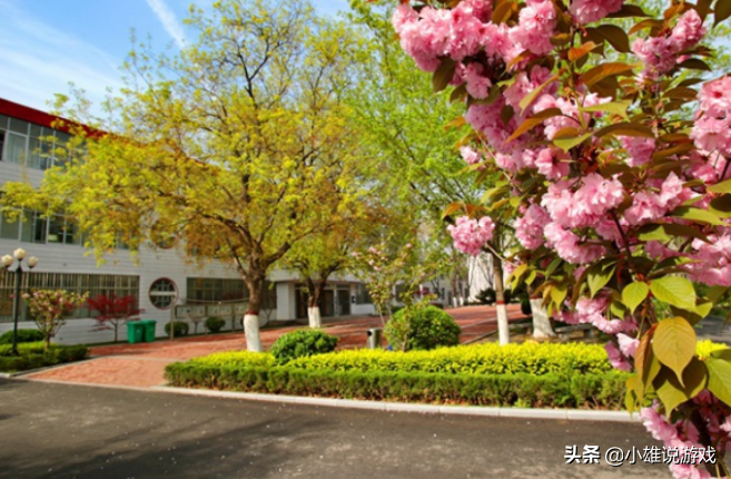 安阳市实验中学（河南安阳这四所重点高中）