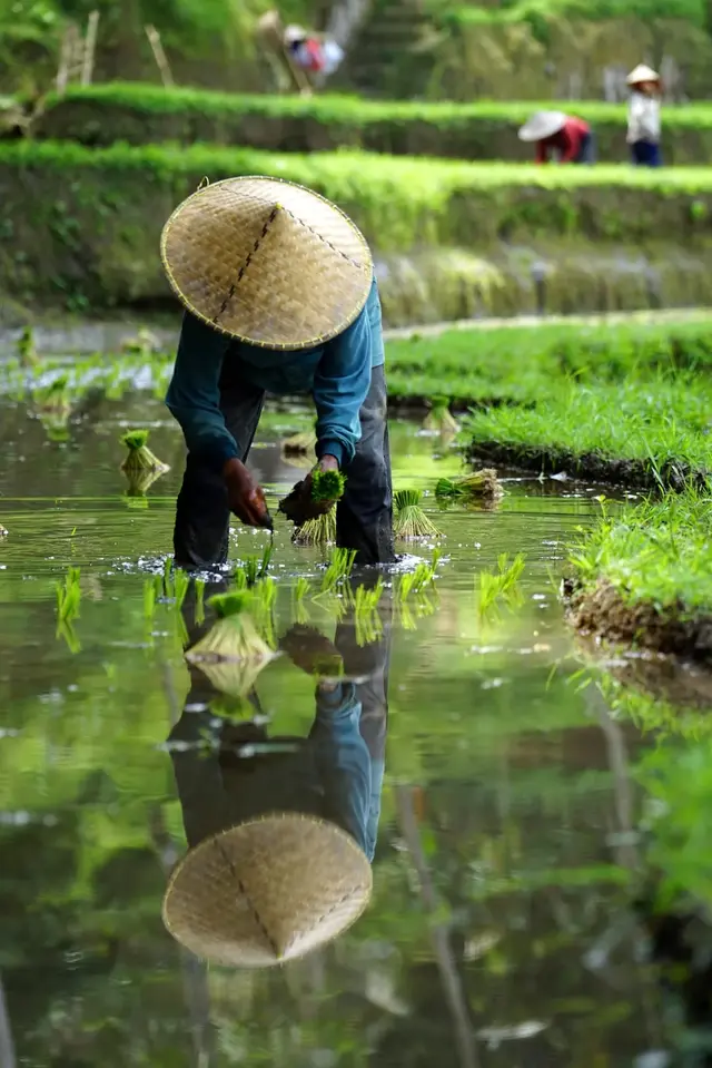 立夏碰蛋的寓意，立夏撞蛋是什么意思（系疰夏绳、斗蛋、称重……立夏的这些习俗）