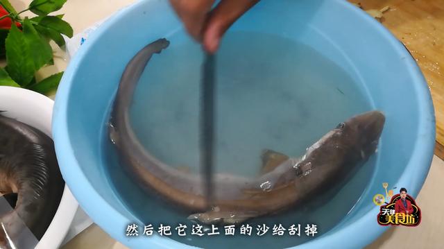 小鲨鱼怎么做好吃，鲨鱼肉怎么做好吃（花39元买了条鲨鱼蒸着吃）