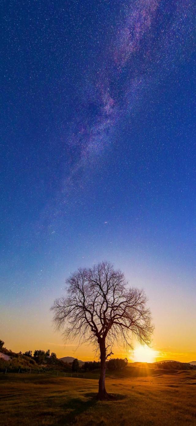 全屏壁纸，全屏壁纸图片大全（各类个性设计壁纸和风景壁纸）