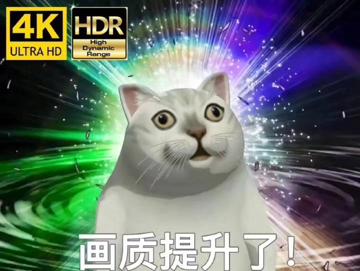 七色猫（这只网红猫猫到底出自哪里）