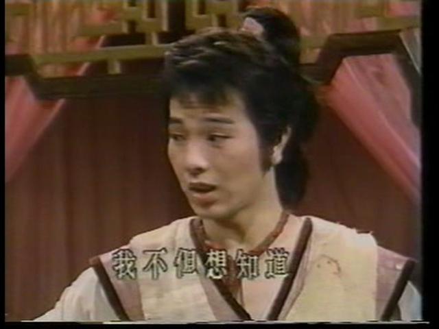 沈孟生演过的电视剧，沈孟生（8090年代中国大陆引进的台湾电视剧）