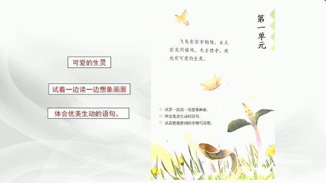 适合小学生朗诵的诗歌三分钟，小学生诗歌朗诵三分钟（小学三年语文《古诗三首》《燕子》《荷花》《昆虫备忘录》和习作）