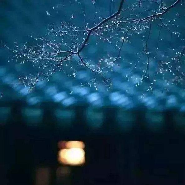 带夜的诗句，带夜的诗句飞花令100句（在寒夜里读首古诗词）