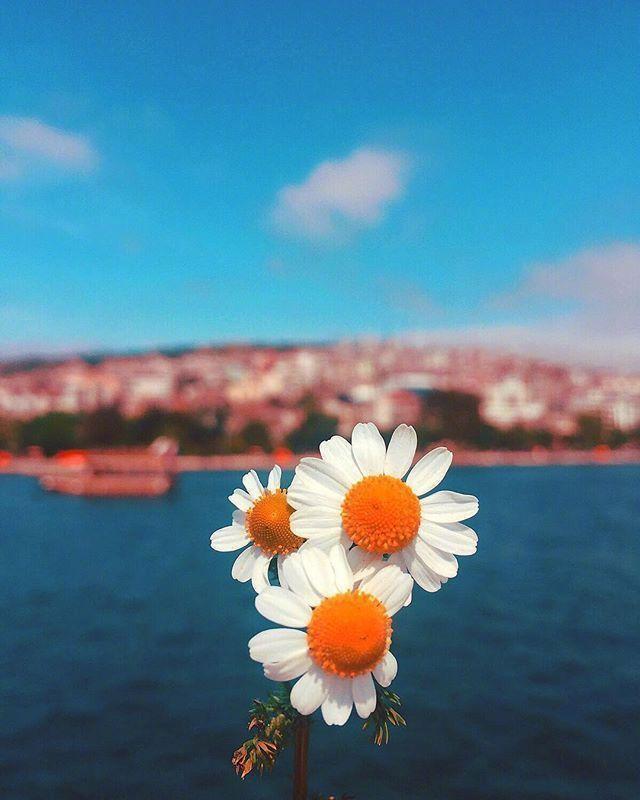 鼓励别人挣钱的话，鼓励别人挣钱的说说（早安心语赚钱感悟）