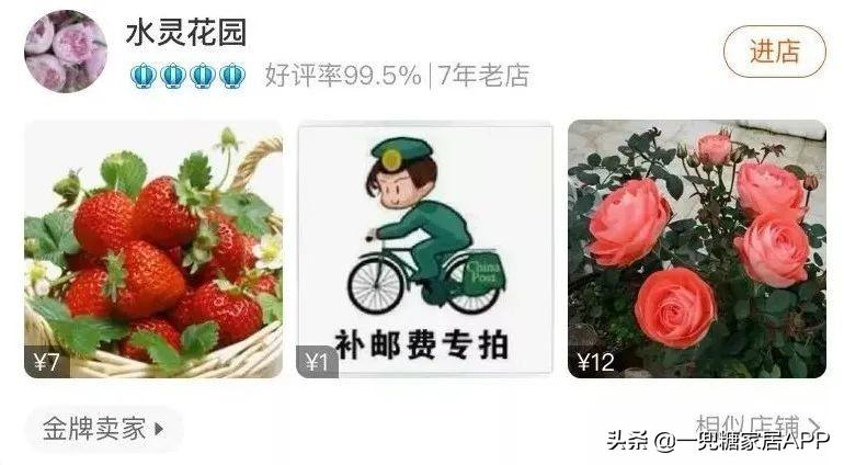 淘宝网花店(淘宝商城花卉市场)