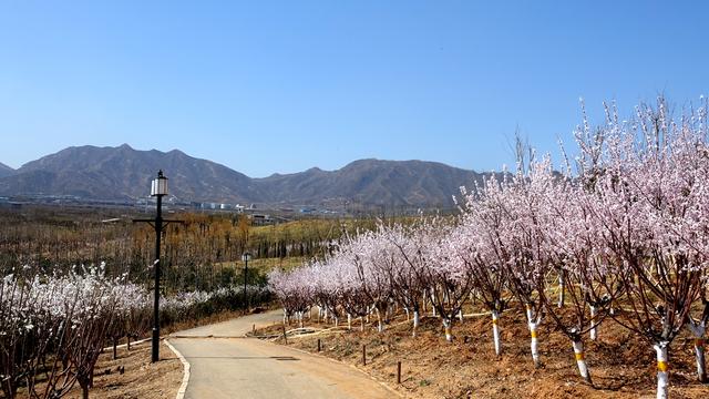 石家庄附近旅游景点，石家庄周边旅游景点大全（趁着五一小长假快来玩吧）