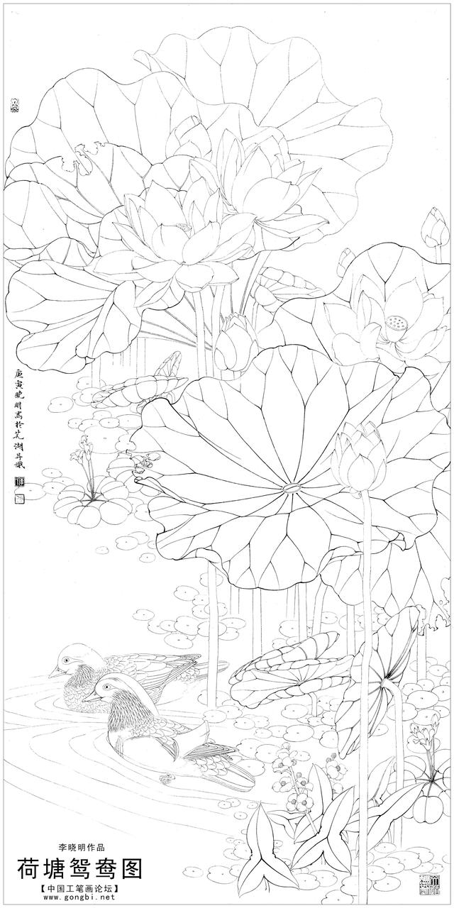 工笔荷花白描，高清工笔荷花白描 110幅
