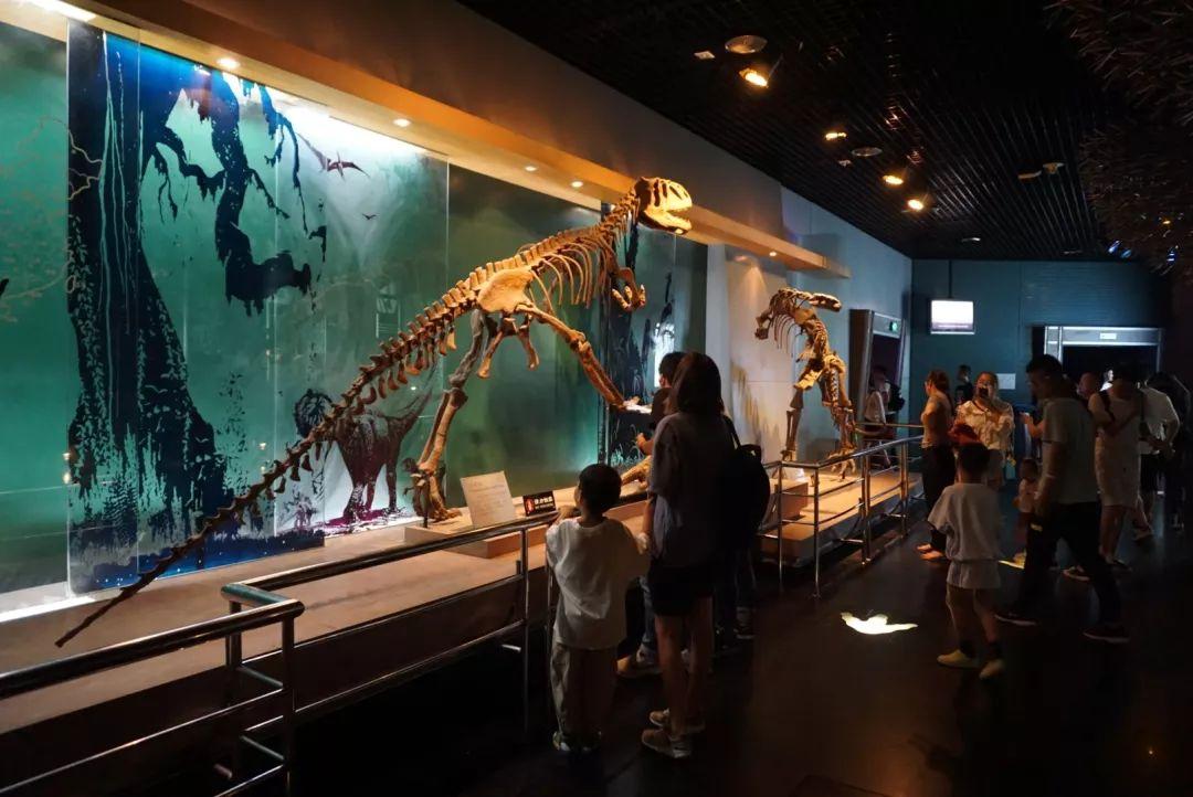 常州哪个旅游团比较好，常州哪个旅游团比较好点（<云中部落别墅、嬉戏谷、恐龙园、环球港>）