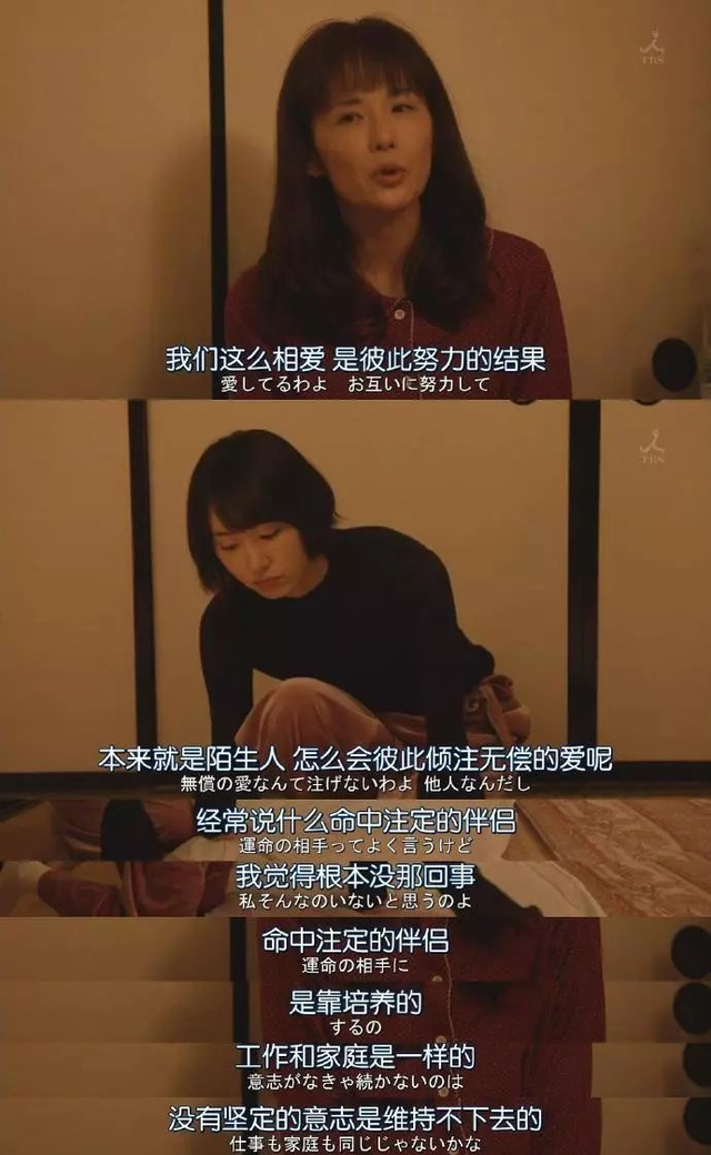 致橡树的爱情观是什么，一个女生发致橡树给你（《致橡树》教给我的爱情观）