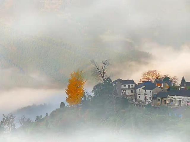 黄山土特产，黄山土特产有哪些（安徽黄山下藏2个好地方）