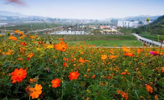 湖北省黄冈的区号是多少，黄冈地区的区号是多少（湖北这5个地方被国家看上）