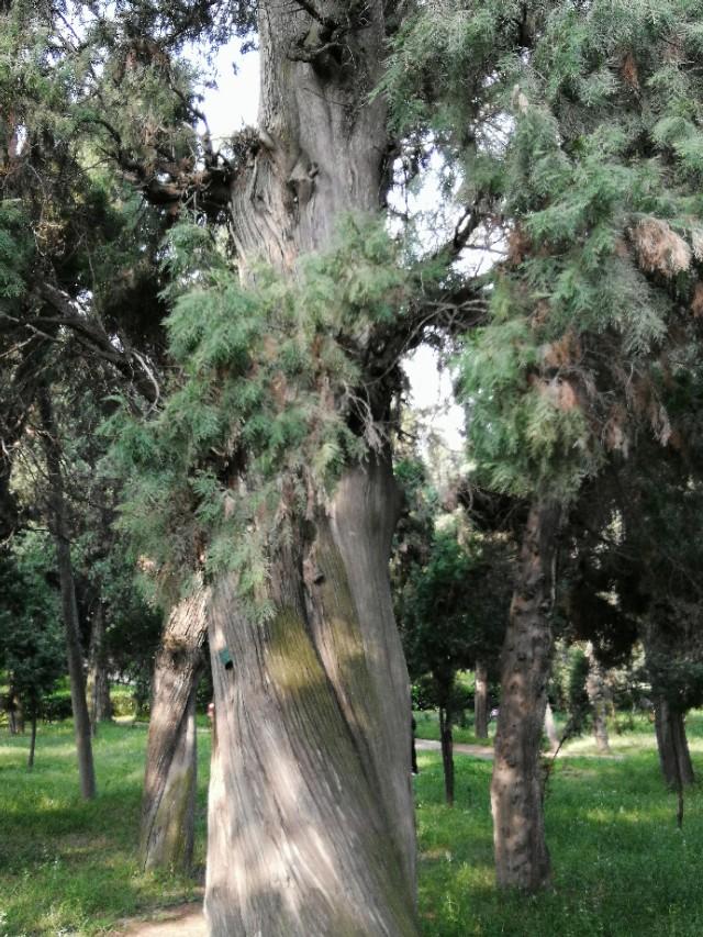 东汉天降陨石，刘秀坟的传说