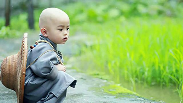 一句佛语点透人生短句，人生修行经典句子（一句佛语悟透人生）